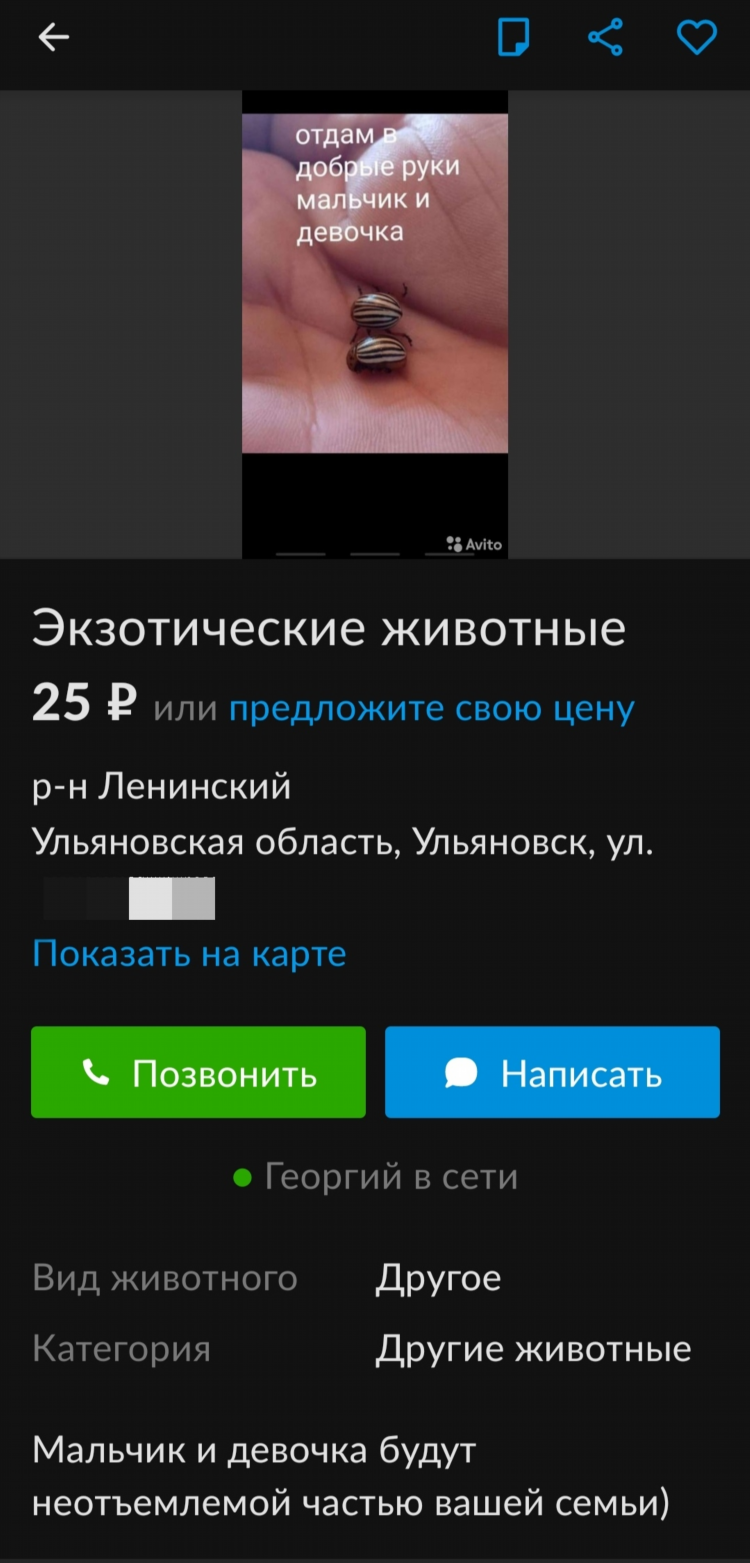 Авито нижний тагил бесплатные объявления отдам бесплатно