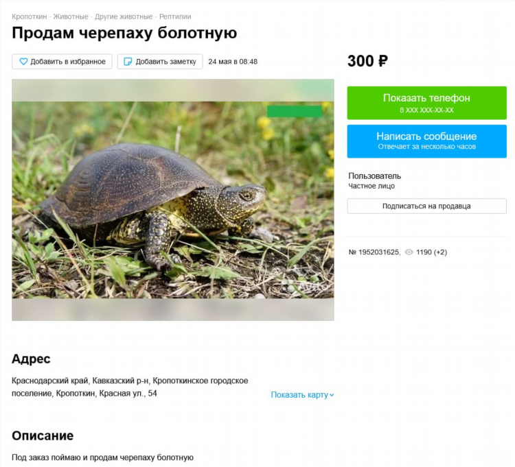 Авито объявления красноярский край