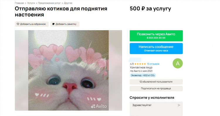 Авито ру чита объявления