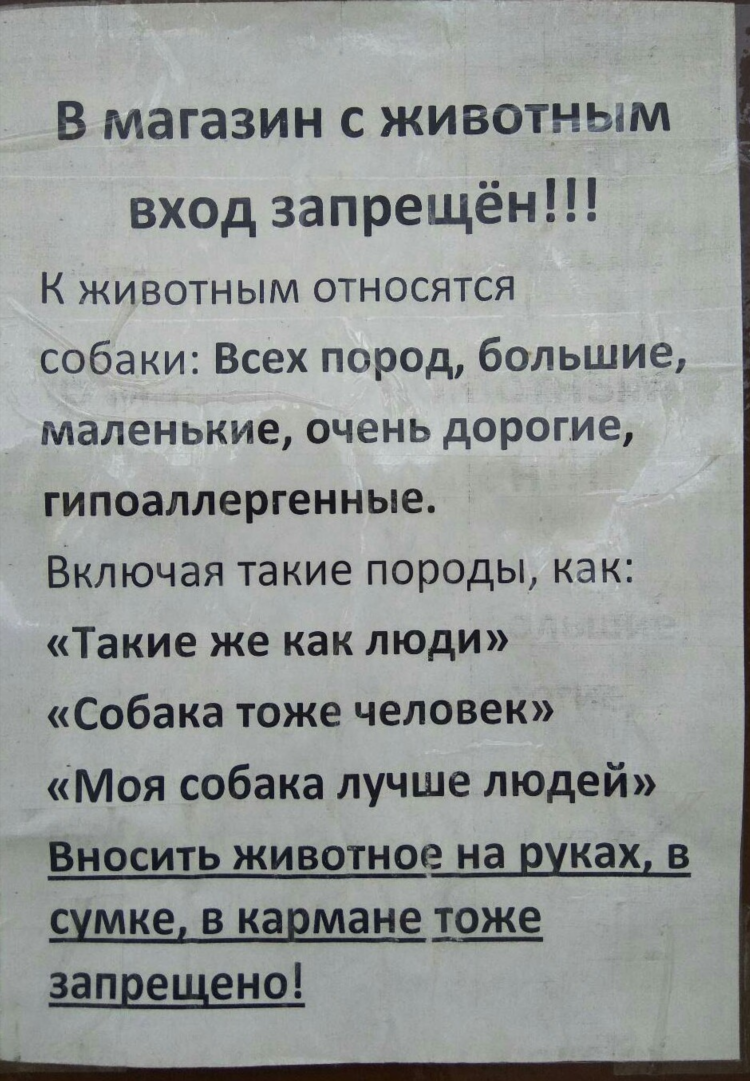 Авито в арзамасе доска бесплатных объявлений