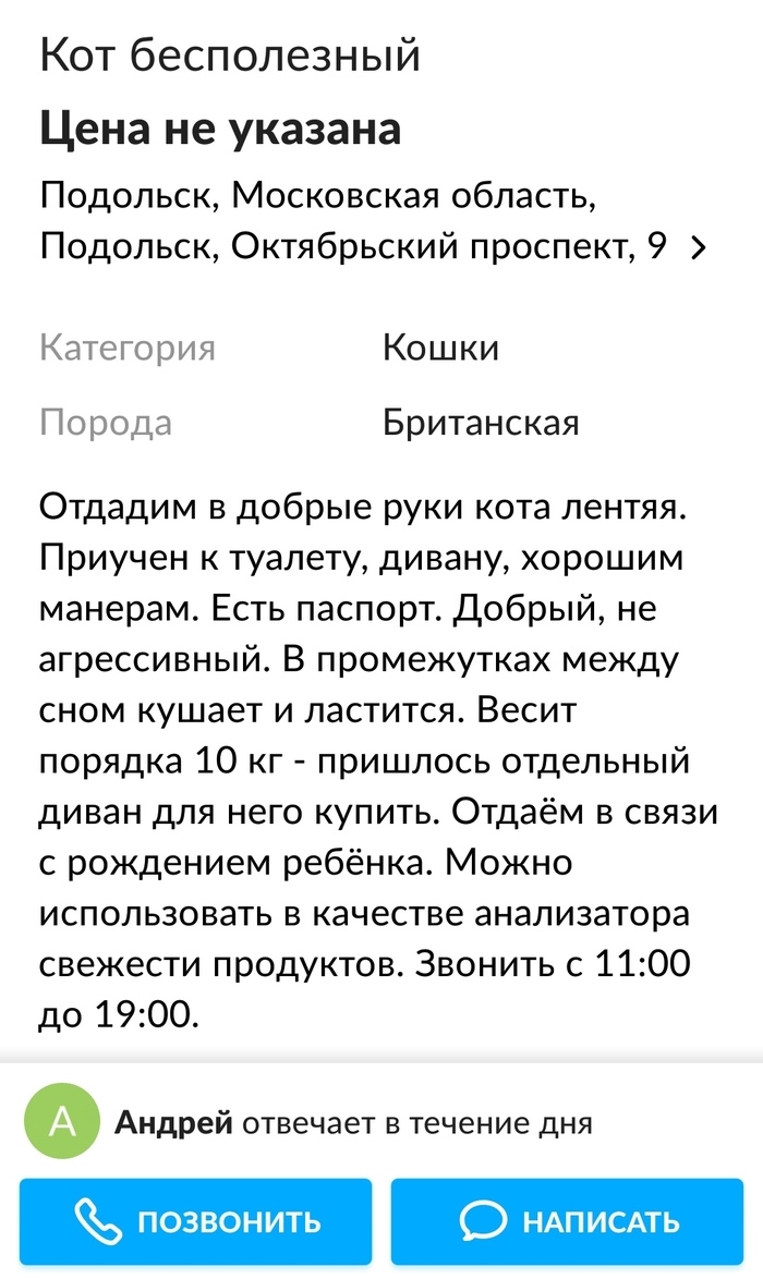 Авито в подольске бесплатные объявления