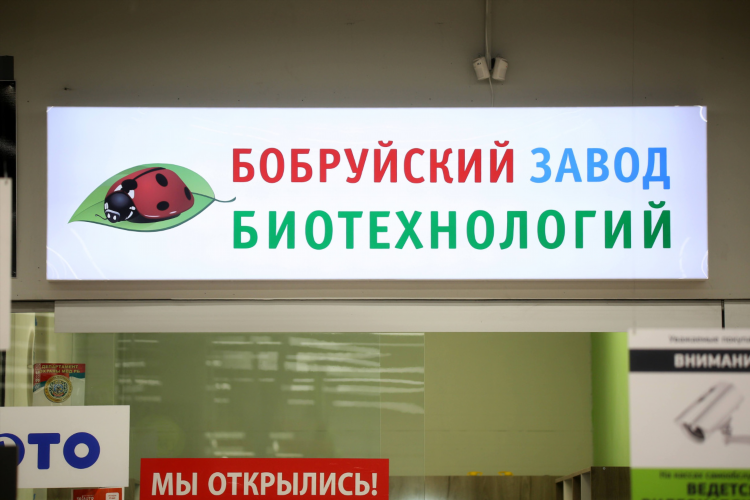 Bobr by объявления продам