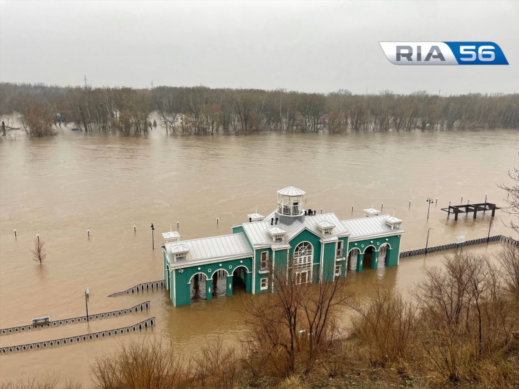 Частные объявления в оренбурге