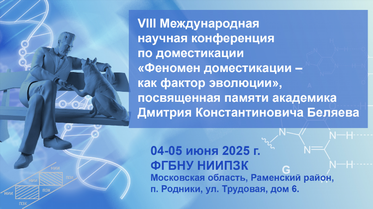 Доска бесплатных объявлений раменское