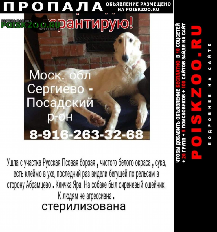 Доска объявление нижние серги