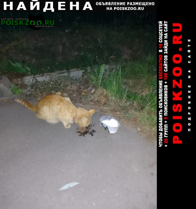 Доска объявлений бесплатно магадан