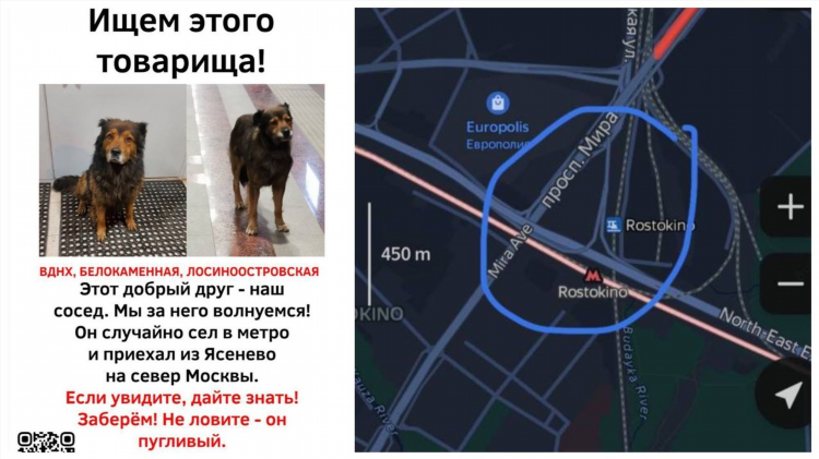 Доска объявлений потеряшка