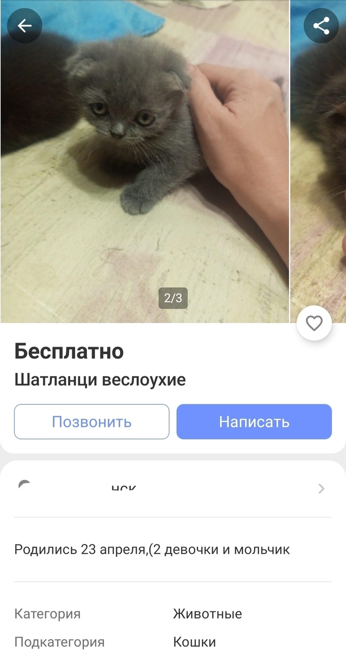 Юла отклоняет объявления почему