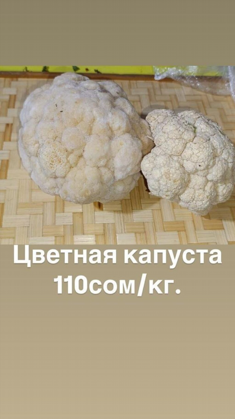Капуста доска объявлений