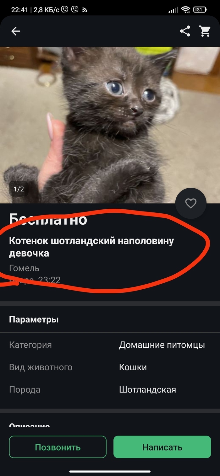 Куфар в бресте доска бесплатных объявлений