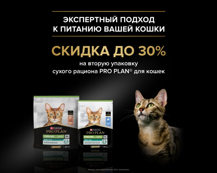 Купить котенка в тюмени с фото свежие объявления