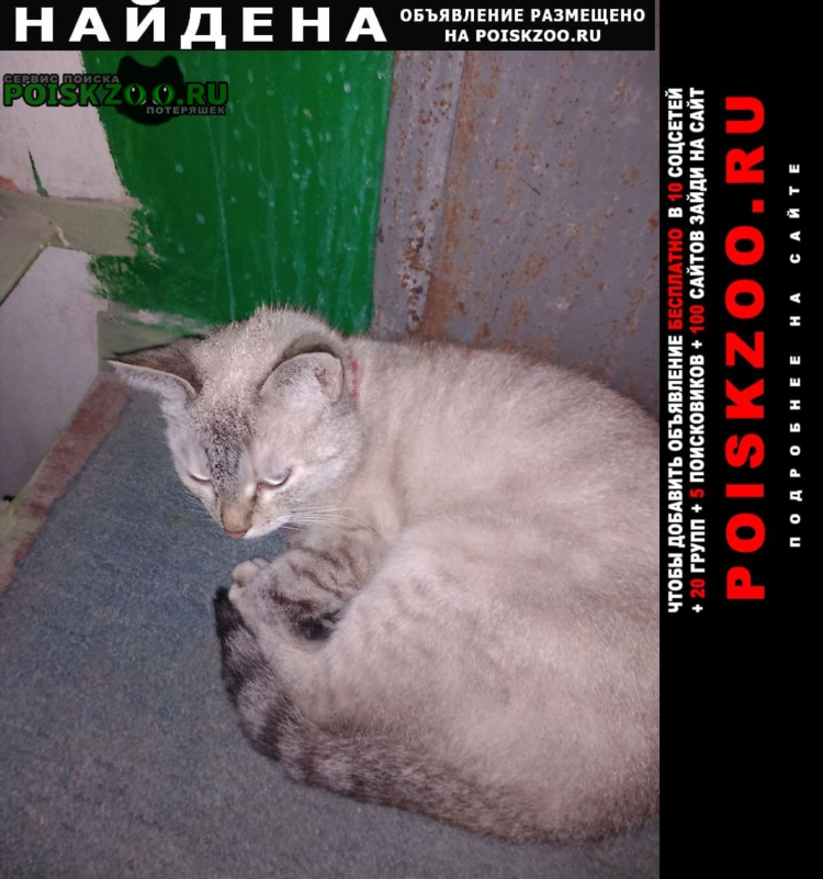 Луганские объявления