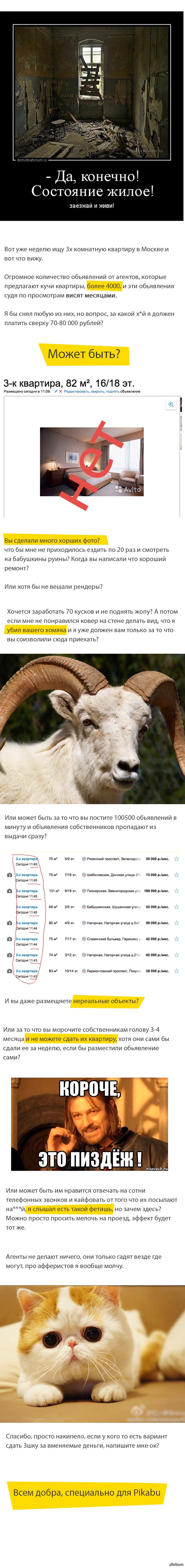 Неагент ростов на дону бесплатные объявления от частных лиц