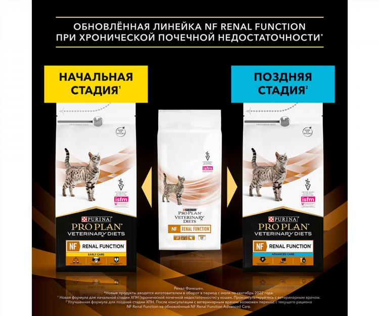 Объявление о потере кота образец