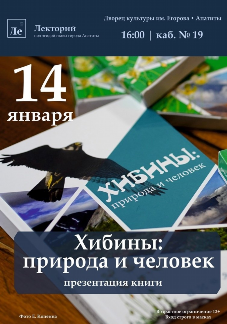 Объявление вход строго в масках
