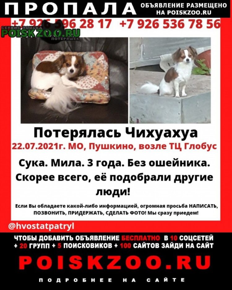 Объявления сергиев посад
