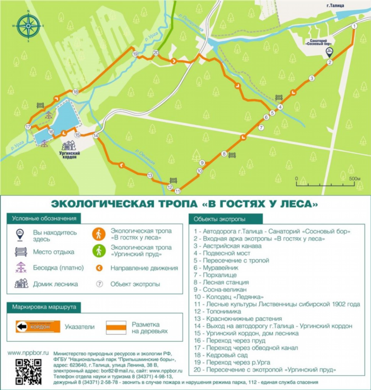 Сбор нет доска объявлений сосновый