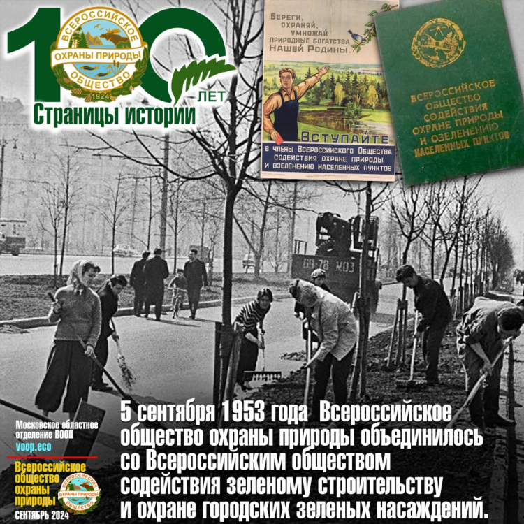 В контакте объявления мураши